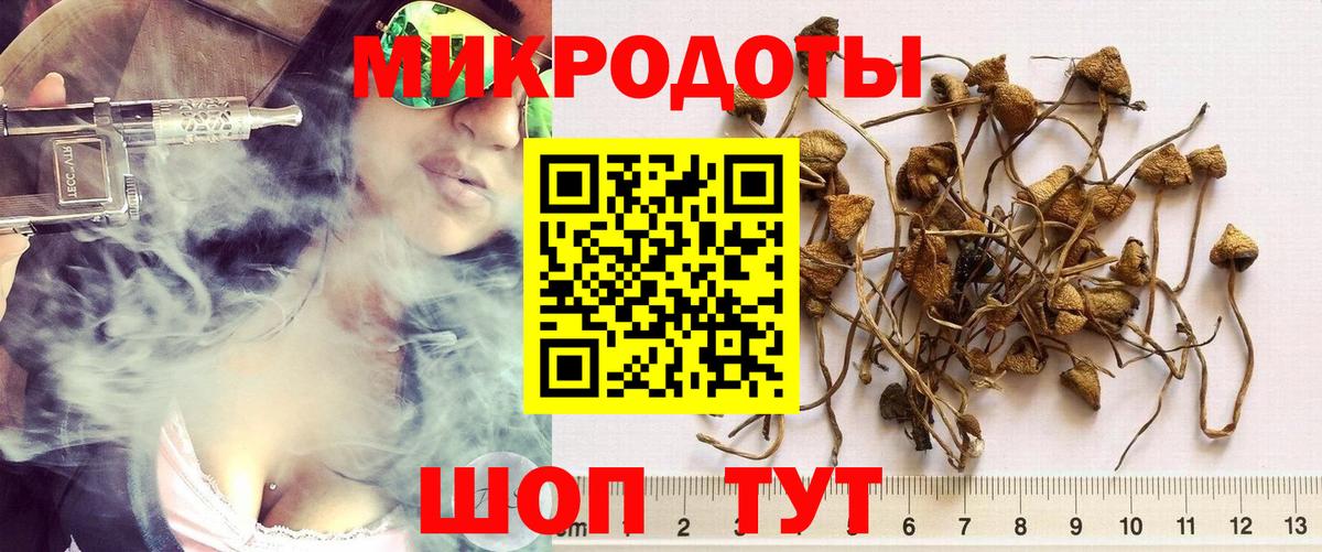 Краснодар  Псилоцибиновые грибы мицелий  Вход с VPN 